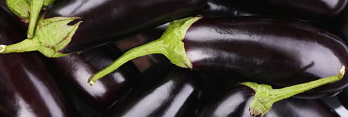 Our freshness guarantee