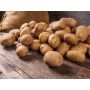 Potatoes Wilja (25kg)